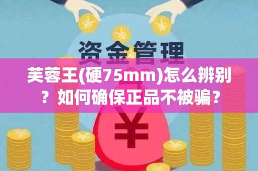 芙蓉王(硬75mm)怎么辨别？如何确保正品不被骗？